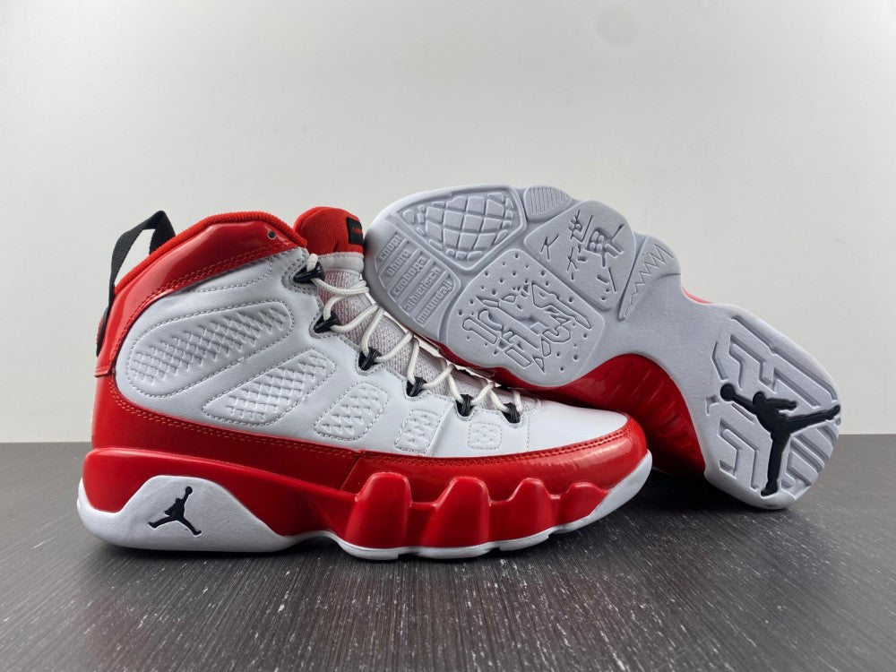 Air Jordan 9 Retro Gym