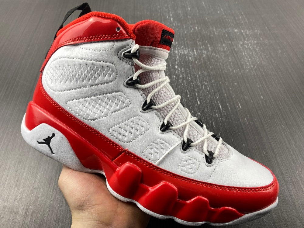 Air Jordan 9 Retro Gym