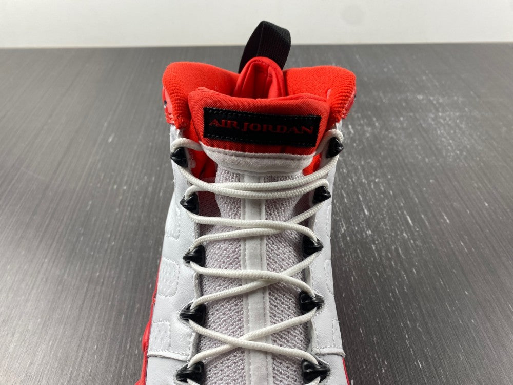 Air Jordan 9 Retro Gym