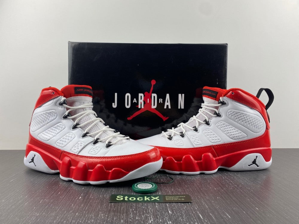 Air Jordan 9 Retro Gym