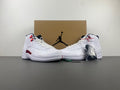 Air Jordan 12 Retro 'Twist'