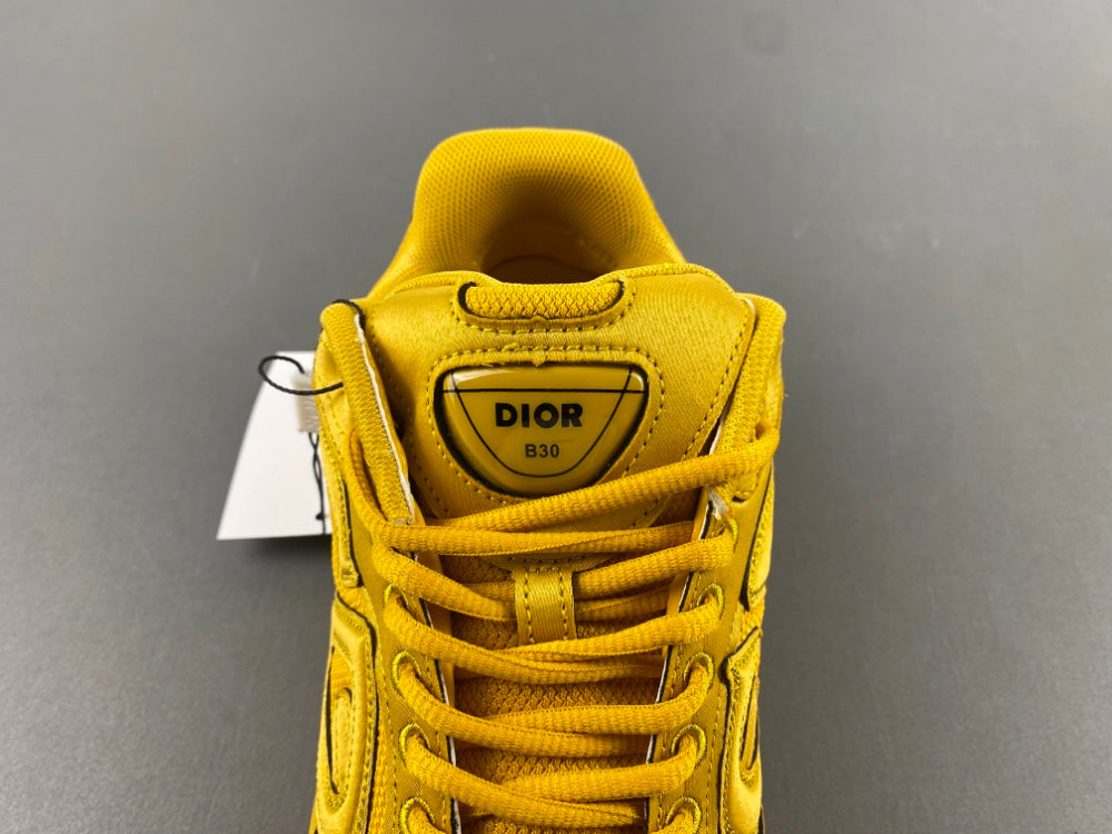 Dior x Stone Island B30 "Yellow"