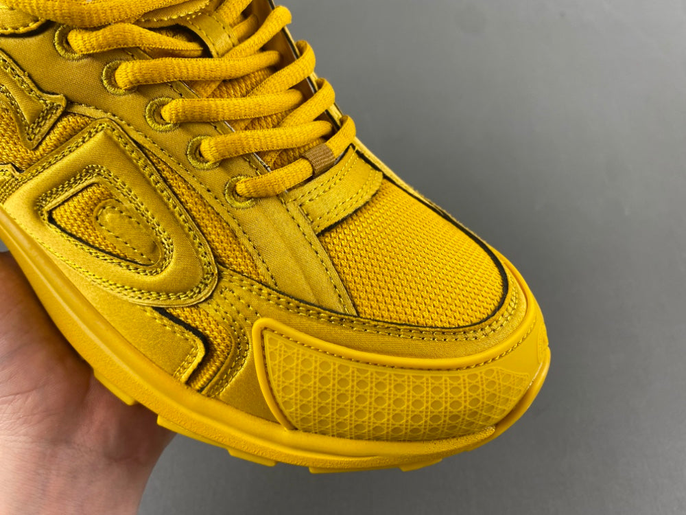 Dior x Stone Island B30 "Yellow"