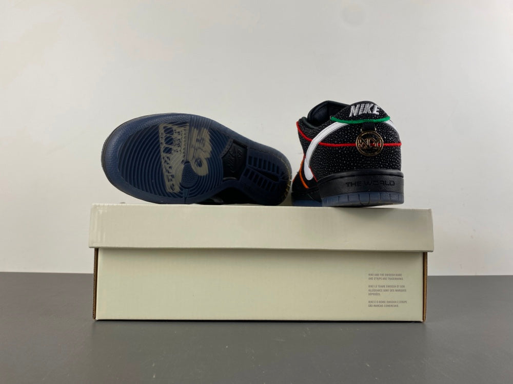 Nike SB Dunk Low Bronx Girls Skate