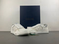 Dior B27 Low White Gray