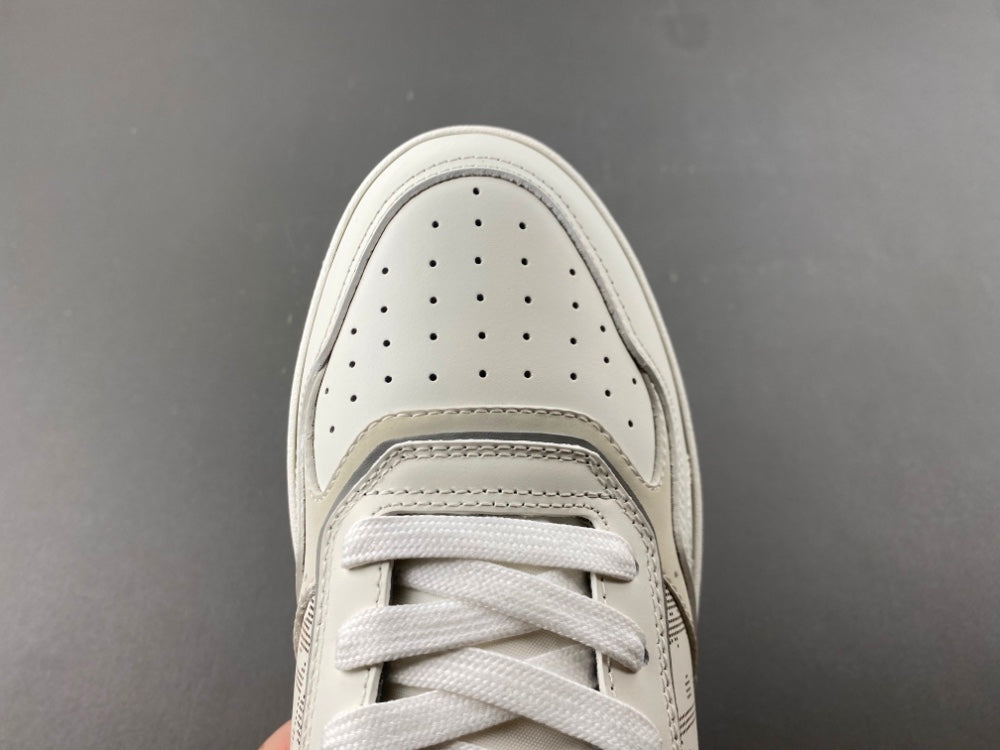 Dior B27 Low White Gray
