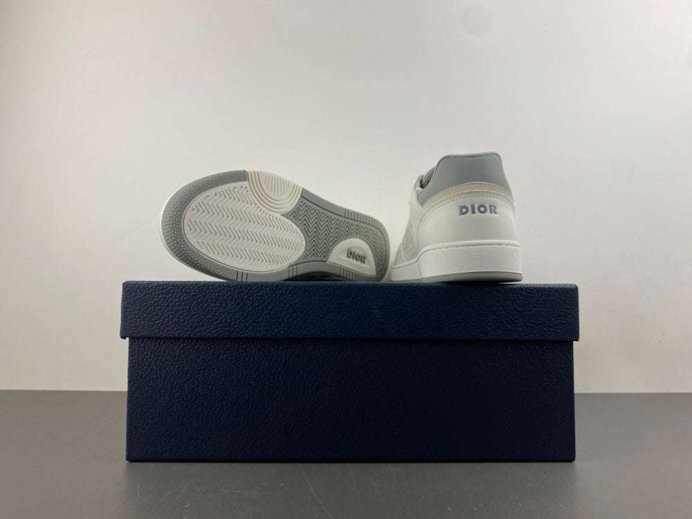 Dior B27 Low White Gray
