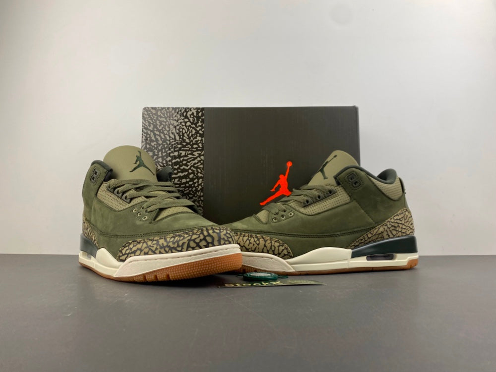 Air Jordan 3 Retro "Family Affair
