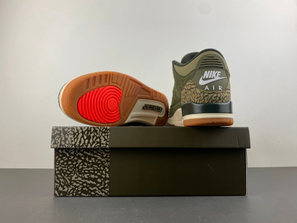 Air Jordan 3 Retro "Family Affair