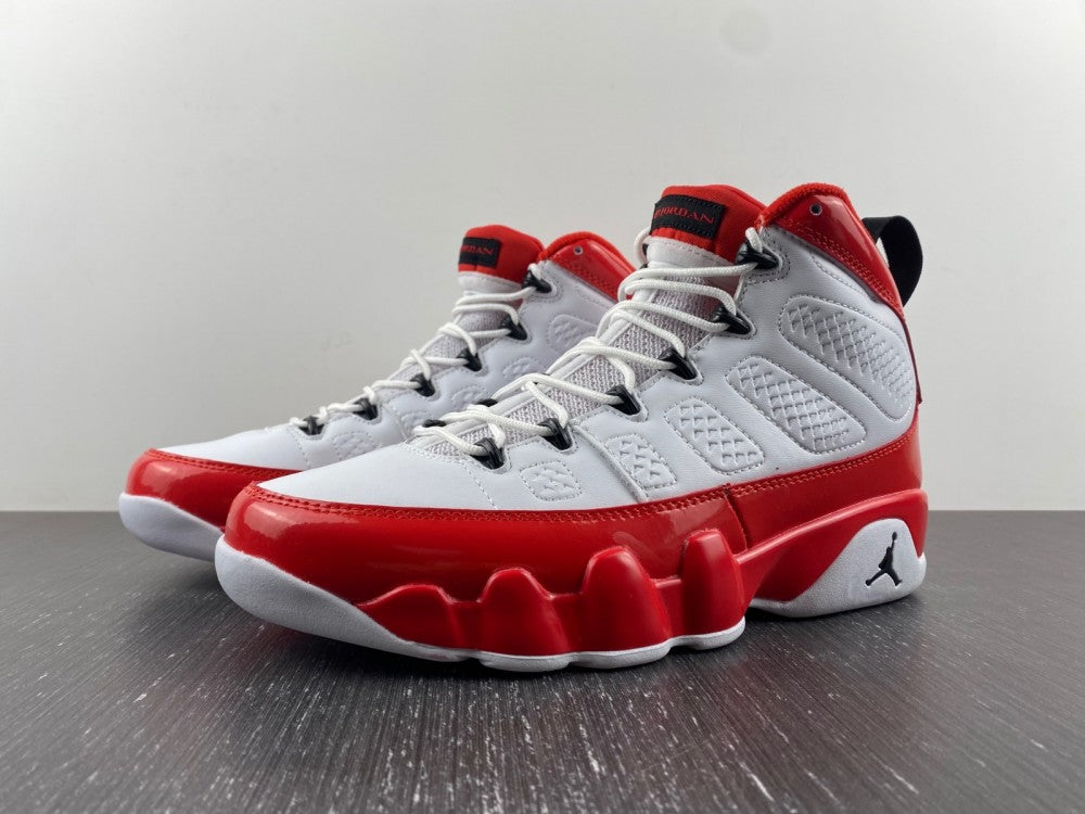 Air Jordan 9 Retro Gym